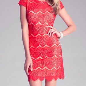 Bebe Lace Dress